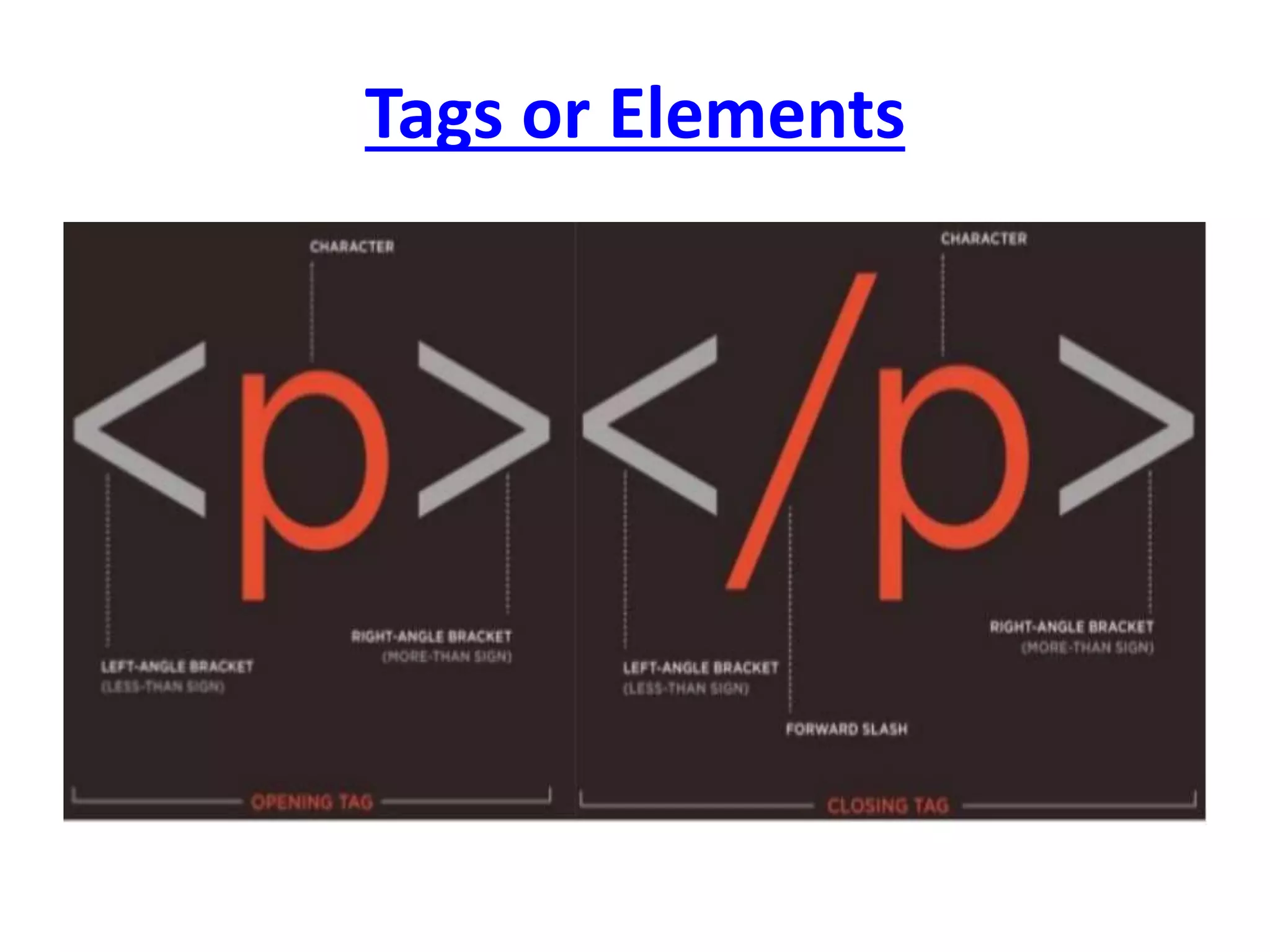 Tags or Elements
 