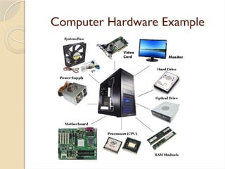 Computer Application Introduction Basics | PPTX