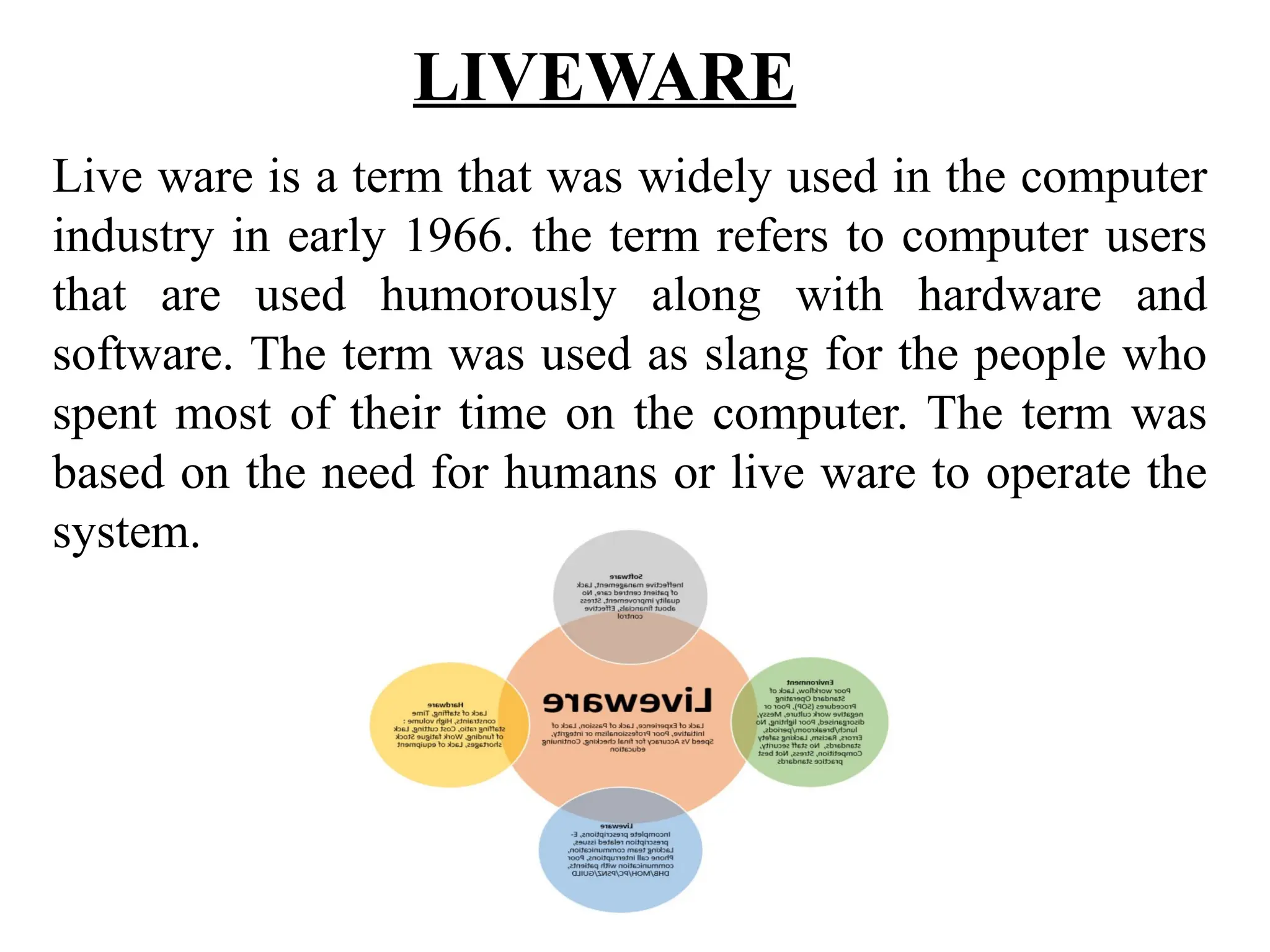 COMPUTER_APPLICATION_IN_BUSINcjxzcxkvxhkvxvkx | PPTX
