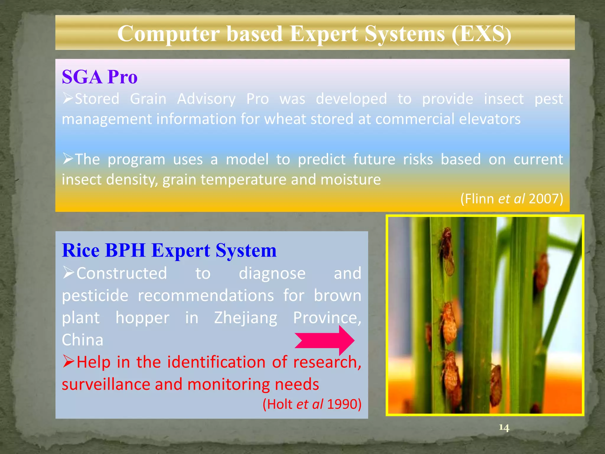 Computer based Expert Systems (EXS)
Rice BPH Expert System
Constructed to diagnose and
pesticide recommendations for brown
plant hopper in Zhejiang Province,
China
Help in the identification of research,
surveillance and monitoring needs
(Holt et al 1990)
SGA Pro
Stored Grain Advisory Pro was developed to provide insect pest
management information for wheat stored at commercial elevators
The program uses a model to predict future risks based on current
insect density, grain temperature and moisture
(Flinn et al 2007)
14
 