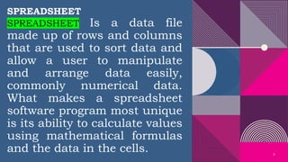 Spreadsheet Program Computer Science Computer Application and maintenance Software.pptx