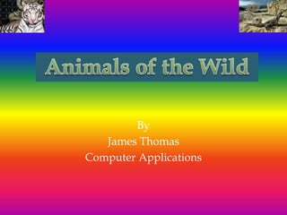 Animals of the Wild  By James Thomas Computer Applications 
