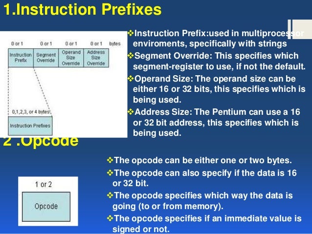 Computer architecture instruction formats