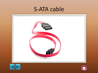 S-ATA cable
 