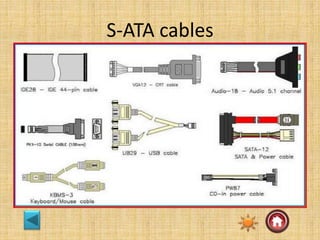 S-ATA cables
 