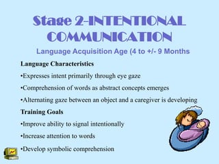 Computer Based Intervention For Individuals With Autism