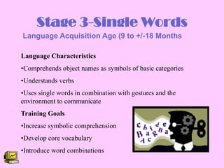 Computer Based Intervention For Individuals With Autism