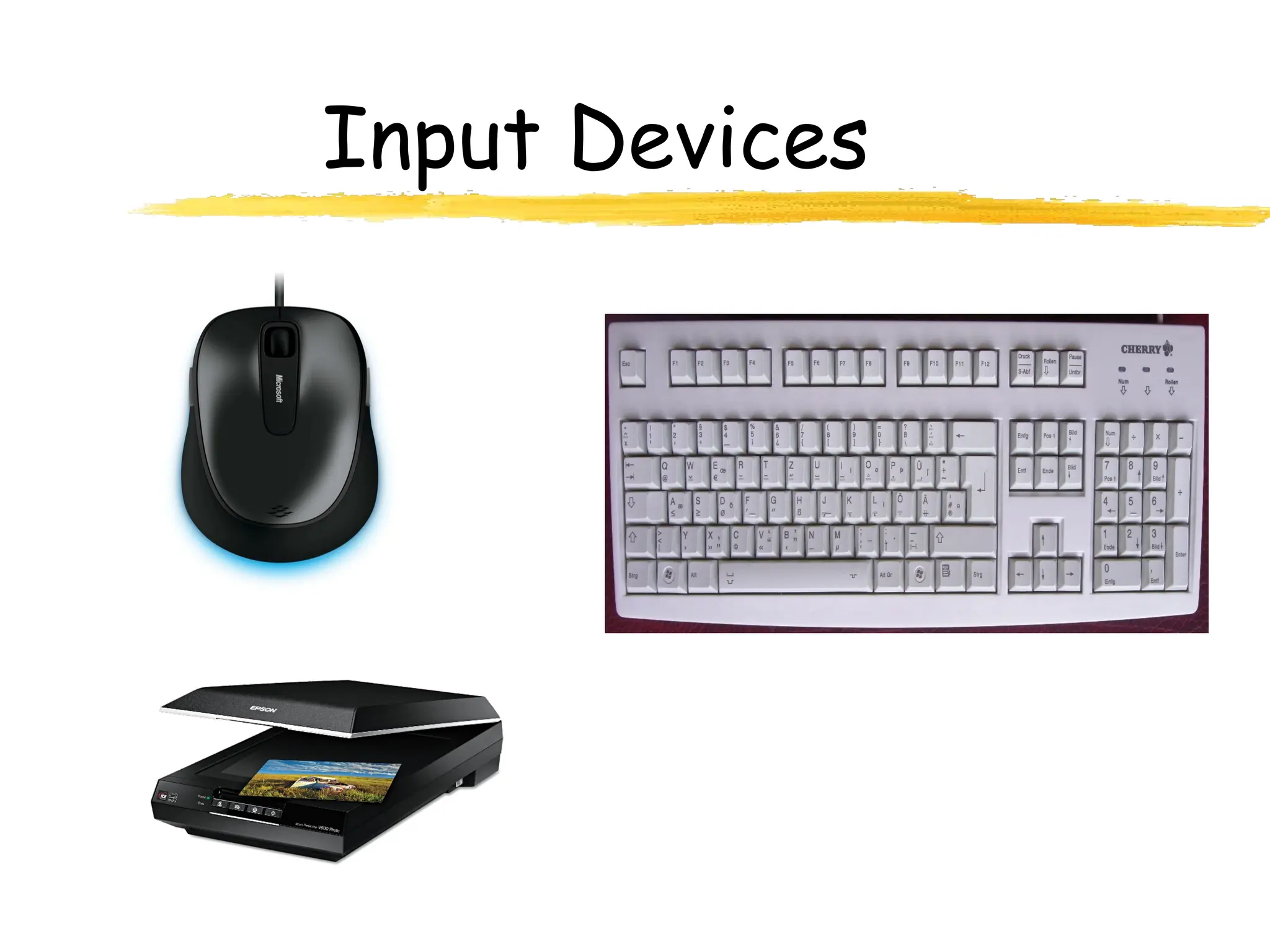 Input Devices
 