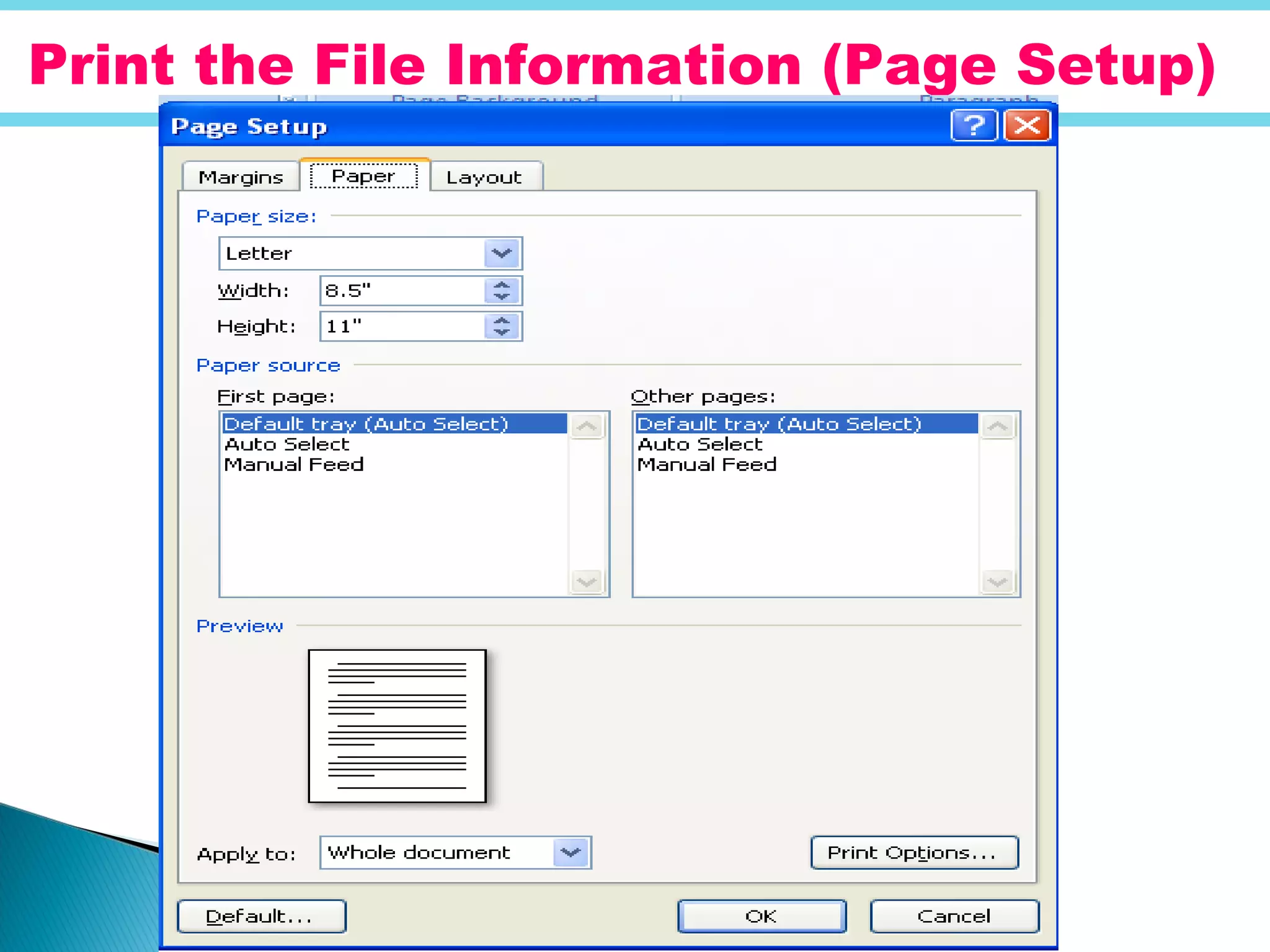 Print the File Information (Page Setup)
 