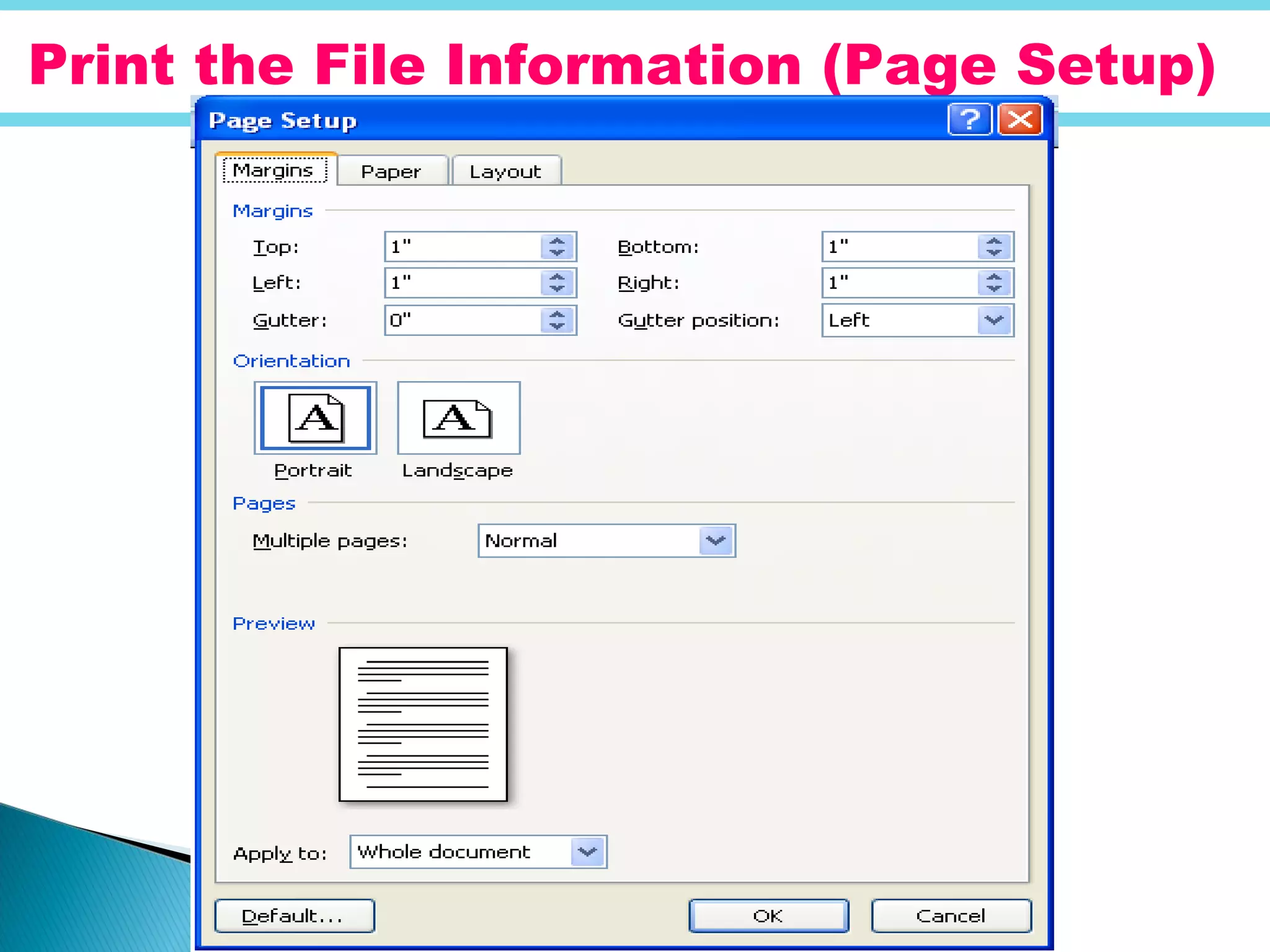 Print the File Information (Page Setup)
 