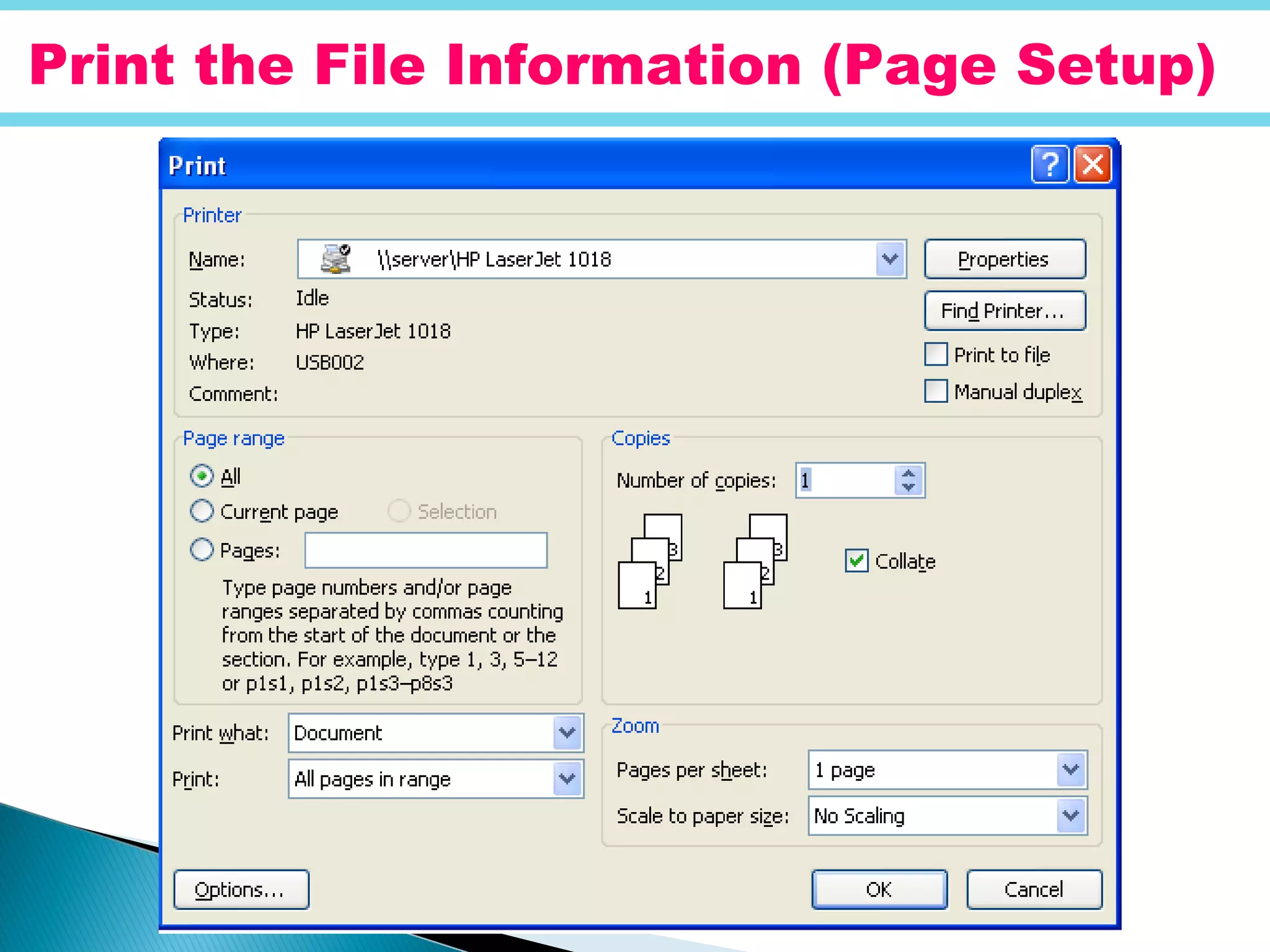Print the File Information (Page Setup)
 