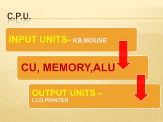 C.P.U.
