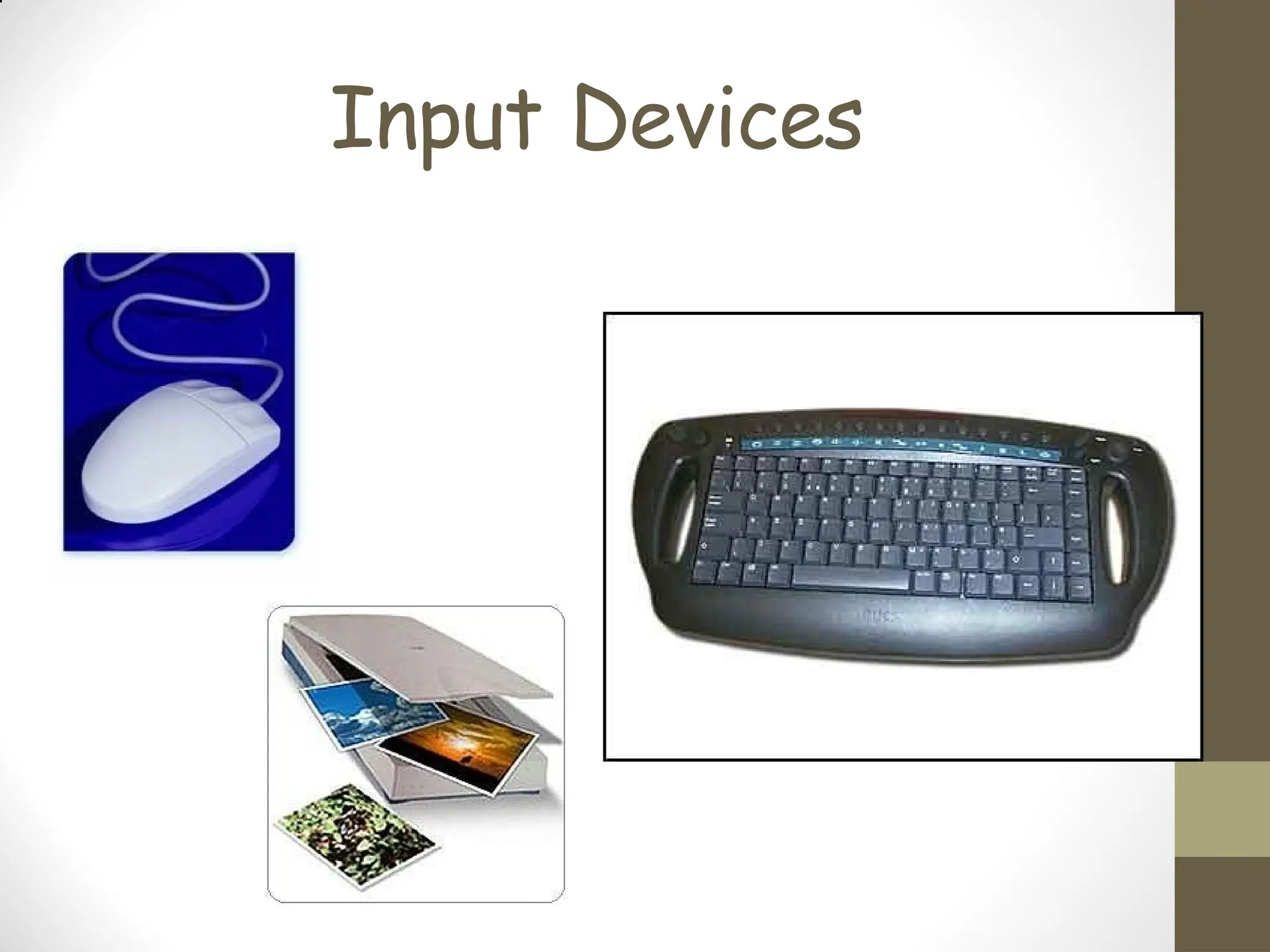 Input Devices
 