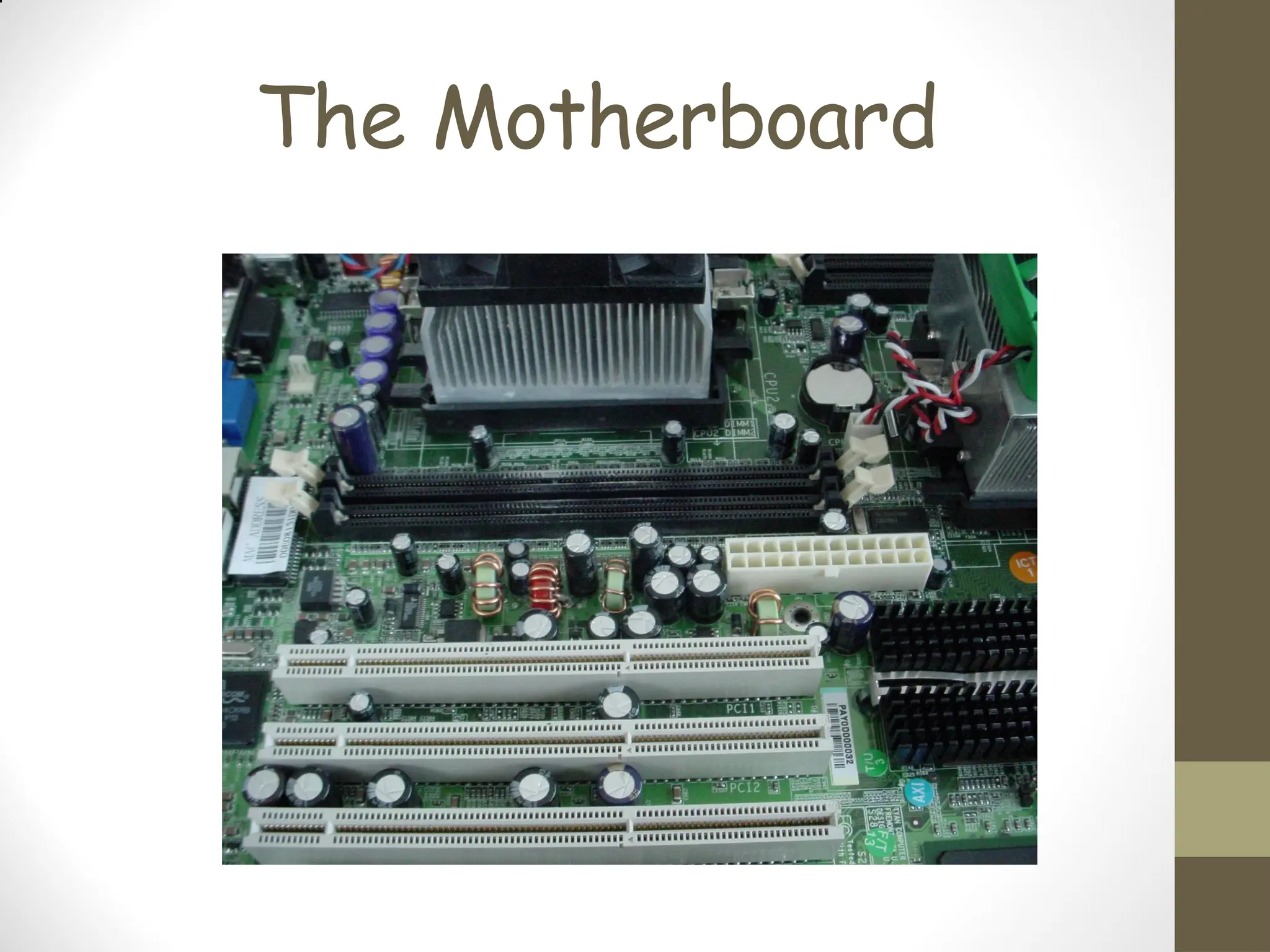 The Motherboard
 