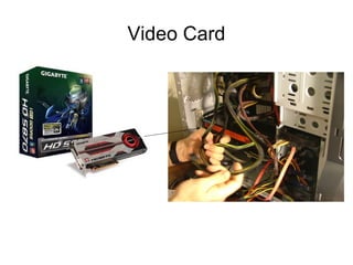 Video Card 