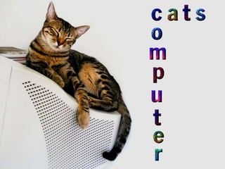 COMPUTER  CATS  