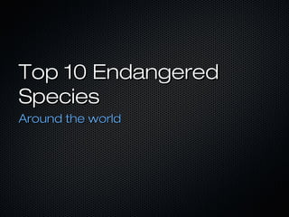 Top 10 EndangeredTop 10 Endangered
SpeciesSpecies
Around the worldAround the world
 