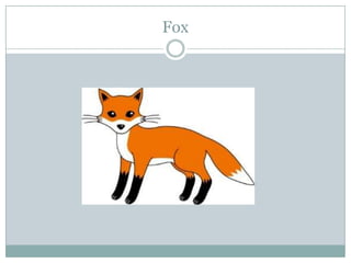 Fox