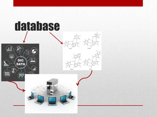 database

 