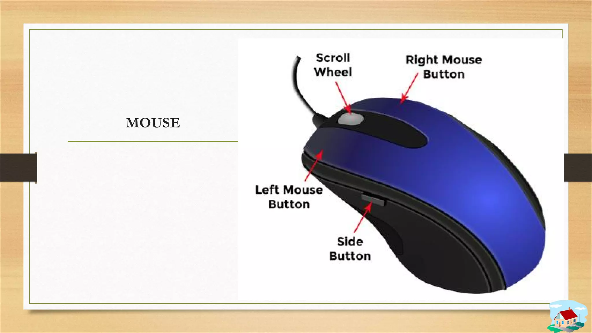 MOUSE
 
