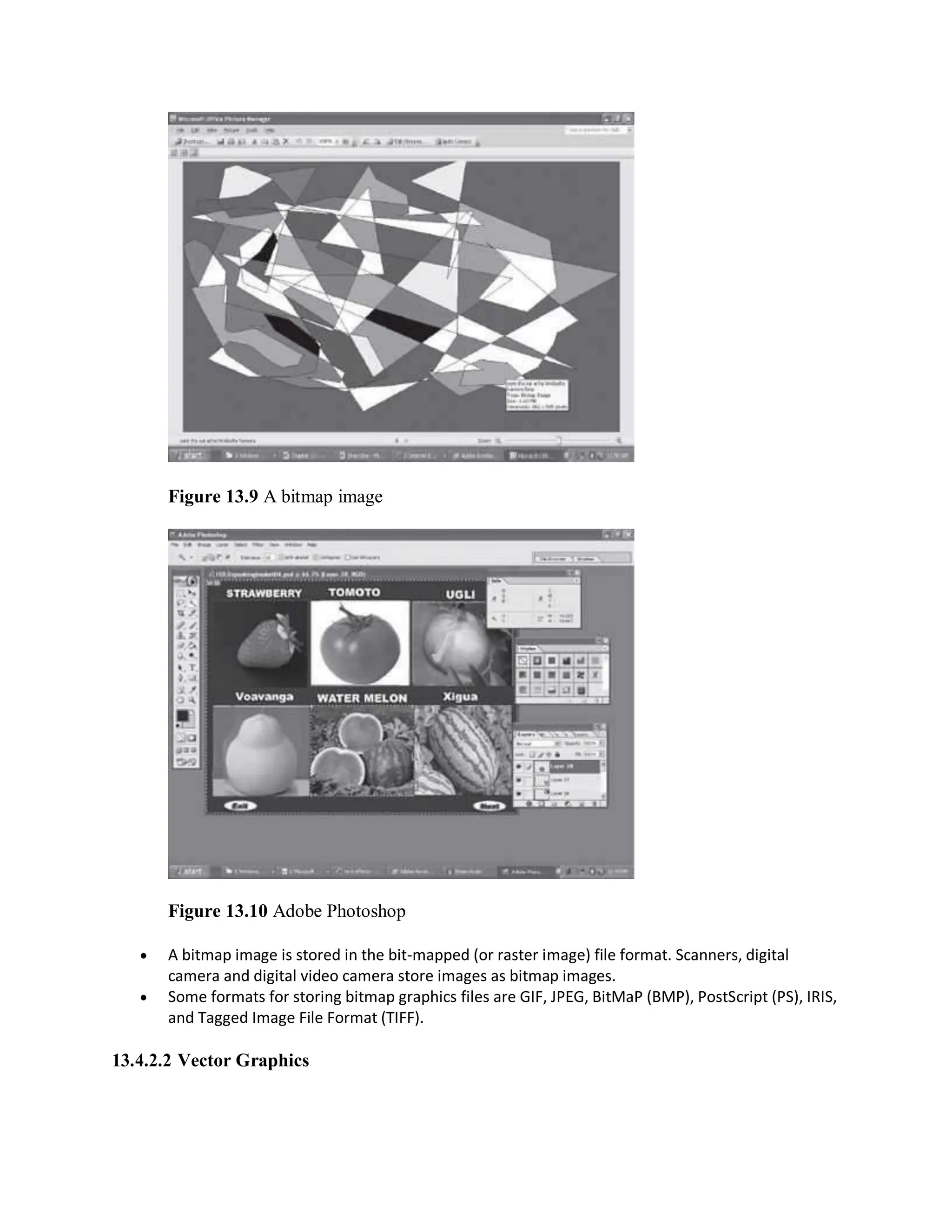 Figure 13.9 A bitmap image
Figure 13.10 Adobe Photoshop
 A bitmap image is stored in the bit-mapped (or raster image) file format. Scanners, digital
camera and digital video camera store images as bitmap images.
 Some formats for storing bitmap graphics files are GIF, JPEG, BitMaP (BMP), PostScript (PS), IRIS,
and Tagged Image File Format (TIFF).
13.4.2.2 Vector Graphics
 