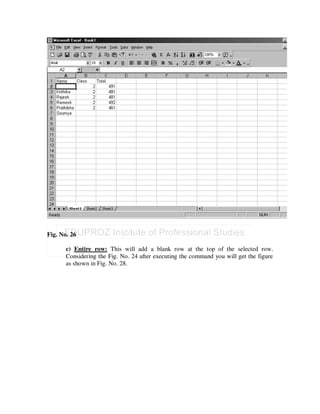 Fig. No. 26

       c) Entire row: This will add a blank row at the top of the selected row.
       Considering the Fig. No. 24 after executing the command you will get the figure
       as shown in Fig. No. 28.
 