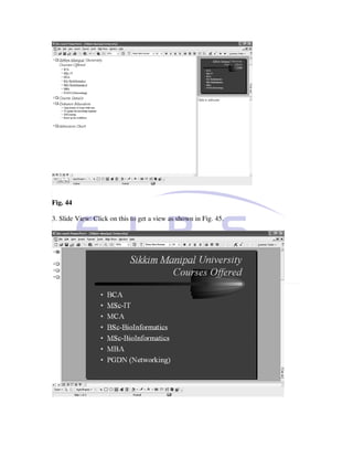 Fig. 44

3. Slide View: Click on this to get a view as shown in Fig. 45.
 