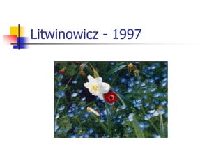 Litwinowicz - 1997
 