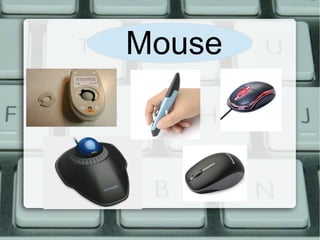 `
●
Mouse
 