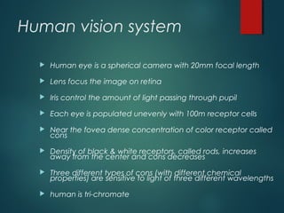Human vision system
 Human eye is a spherical camera with 20mm focal length
 Lens focus the image on retina
 Iris control the amount of light passing through pupil
 Each eye is populated unevenly with 100m receptor cells
 Near the fovea dense concentration of color receptor called
cons
 Density of black & white receptors, called rods, increases
away from the center and cons decreases
 Three different types of cons (with different chemical
properties) are sensitive to light of three different wavelengths
 human is tri-chromate
 