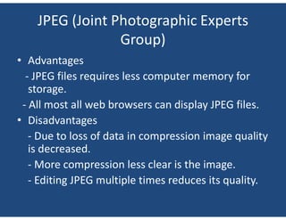 Computer Graphics - Graphics File Formats.pdf