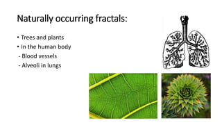 Naturally occurring fractals:
• Trees and plants
• In the human body
- Blood vessels
- Alveoli in lungs
 