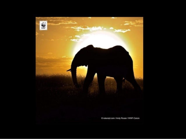 Computer graphics assignment pdf image