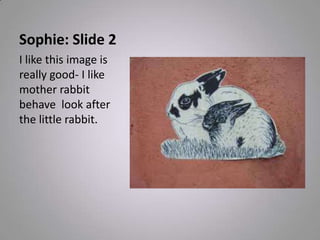Sophie: Slide 2
I like this image is
really good- I like
mother rabbit
behave look after
the little rabbit.
 