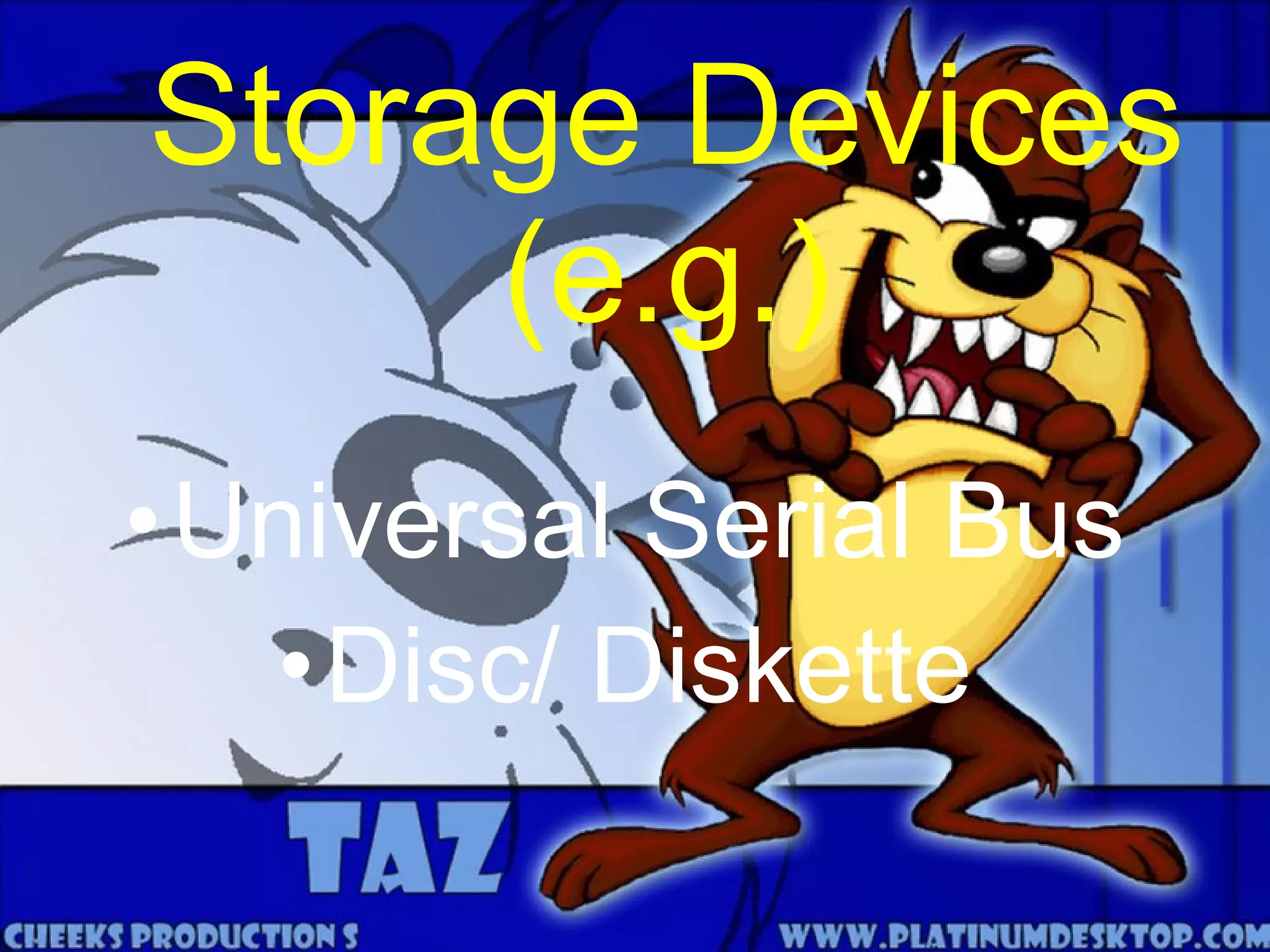 Storage Devices (e.g.) Universal Serial Bus Disc/ Diskette 