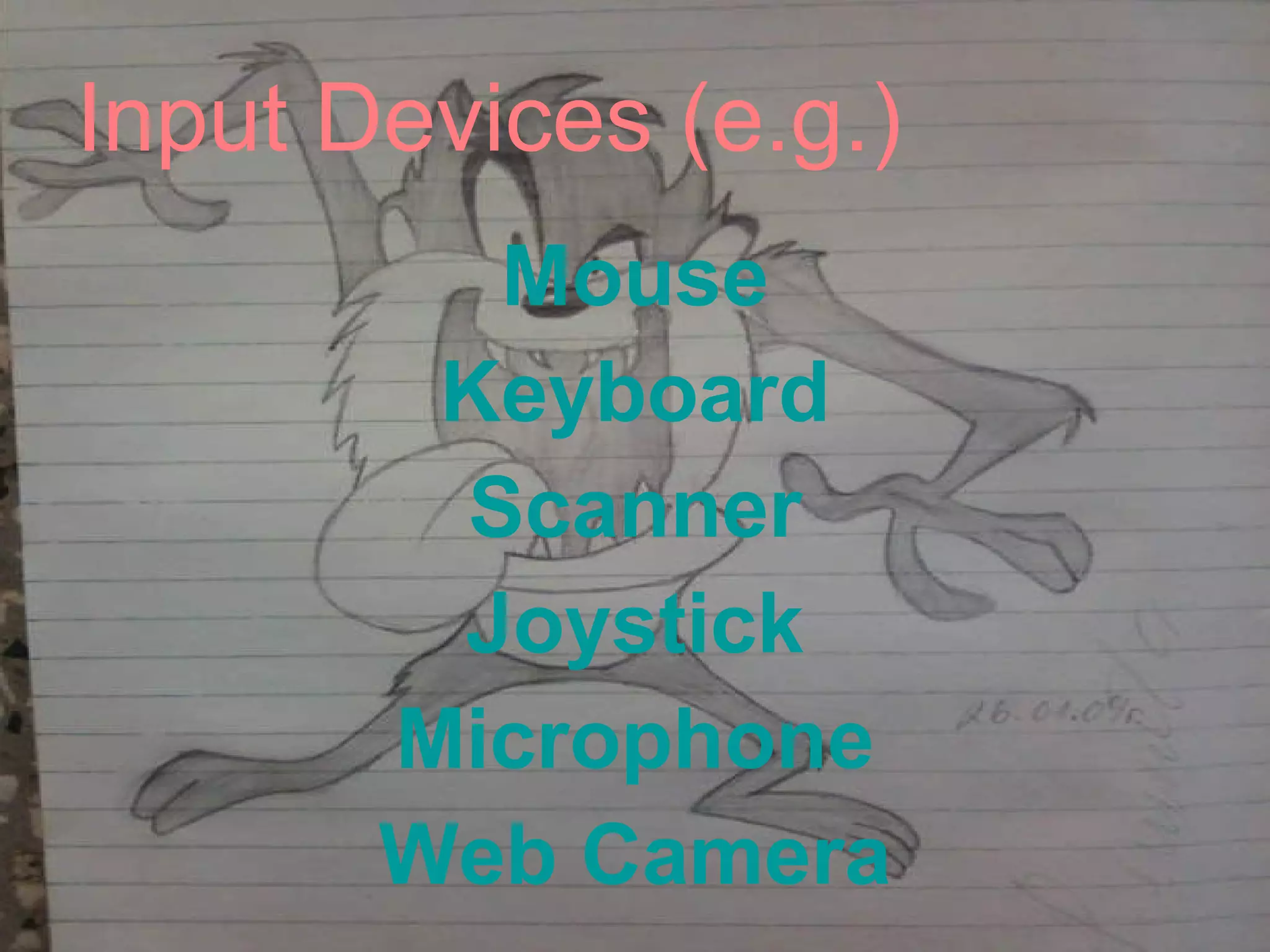 Input Devices (e.g.) Mouse Keyboard Scanner Joystick Microphone Web Camera 