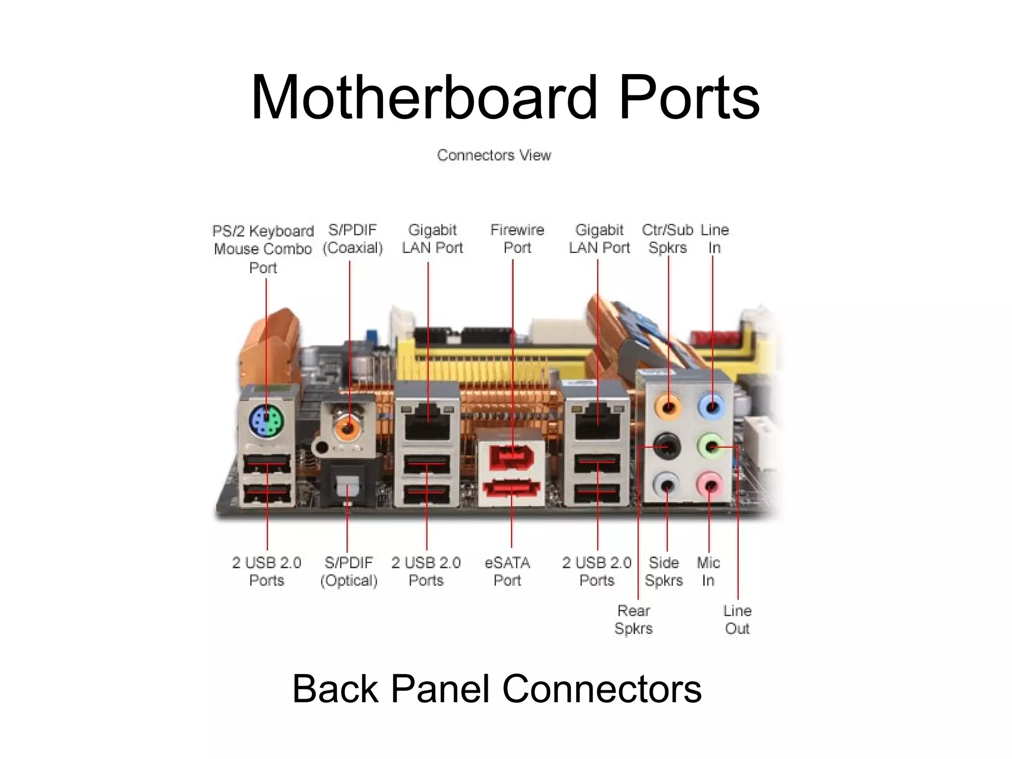 Motherboard Ports
Back Panel Connectors
 