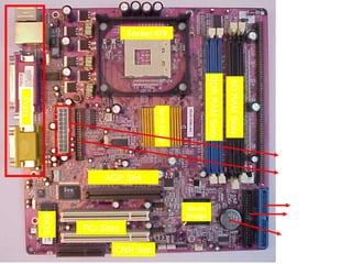 Socket 478




                                                           DDR RAM Slots

                                                                           SD RAM Slots
Ports




                                   North Bridge
                                                                                          ATX Power
                                                                                           Connector
                                                                                          Floppy Drive
                    AGP Slot                                                               Connector


                                                  South                                      Primary
                                                  Bridge                                    Secondary
        BIOS




               PCI Slots
                                                                                           CMOS Battery
                      CNR Slot
 