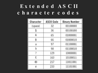 Extended ASCII character codes 