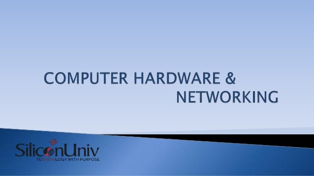 option trader jobs in delhi ncr