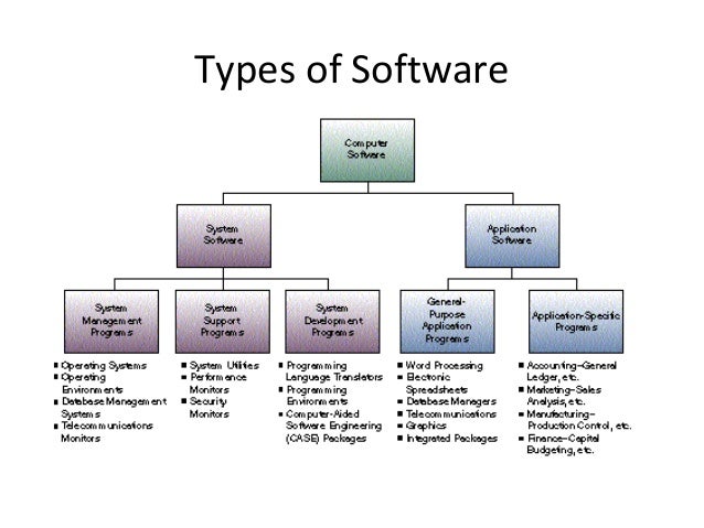 Computer Hardware and Software