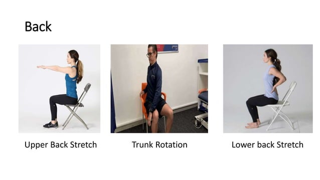 Computer induced musculoskeletal problems | PPT