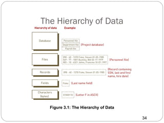 The Hierarchy of Data




  Figure 3.1: The Hierarchy of Data

                                      34
 