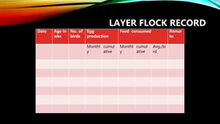 Computerized Poultry Record Keeping | PPSX