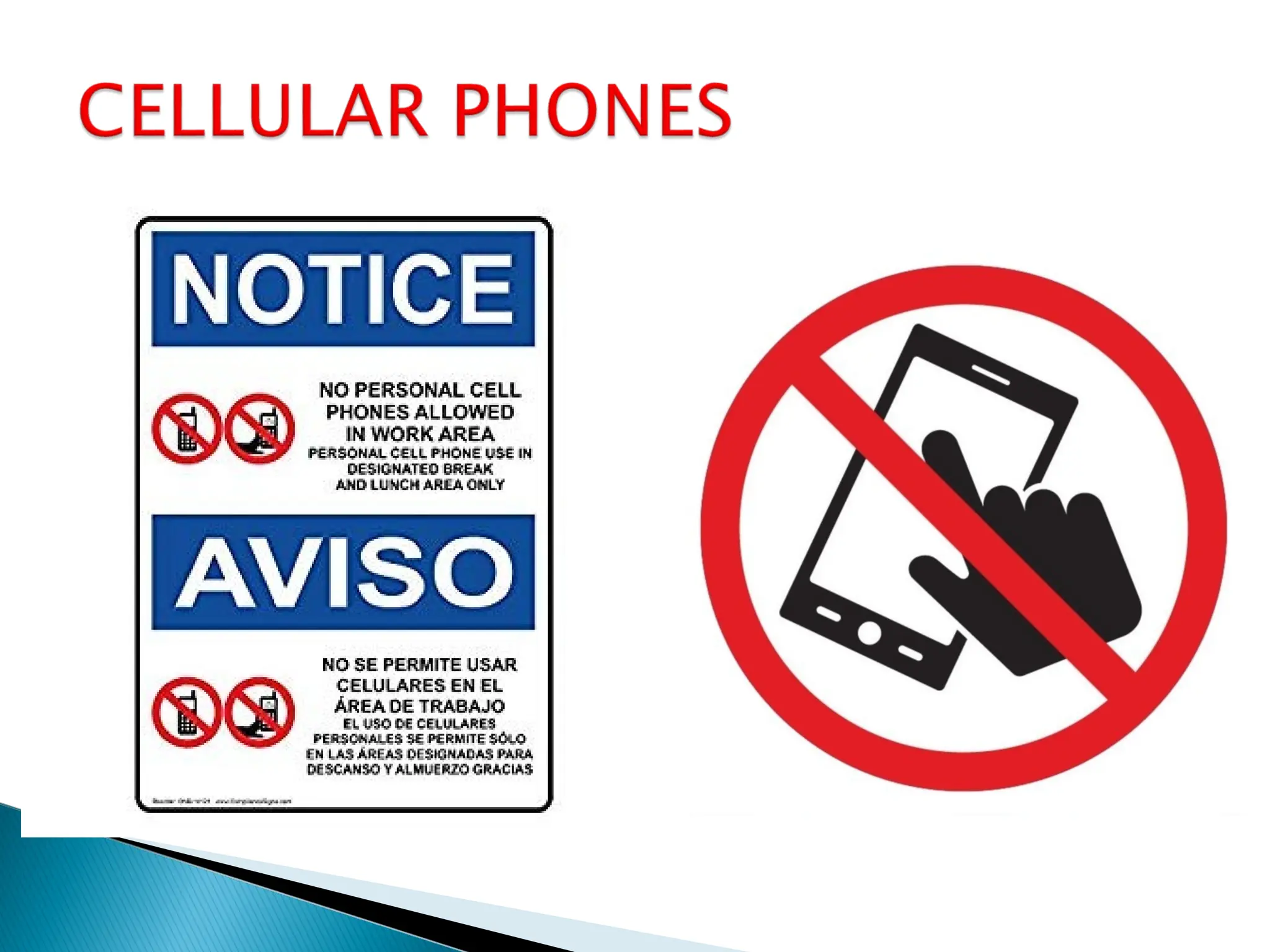 Computer Laboratory Rules and Regulations | PPT