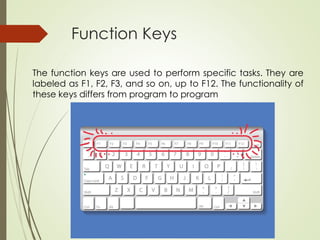 Function Keys
The function keys are used to perform specific tasks. They are
labeled as F1, F2, F3, and so on, up to F12. The functionality of
these keys differs from program to program
 