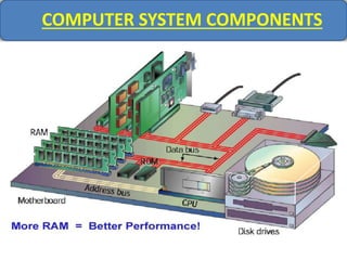 COMPUTER SYSTEM COMPONENTS
 