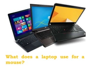 What does a laptop use for a
mouse?
 