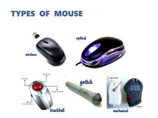 TYPES OF MOUSE
 
