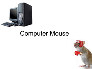 Computer Mouse
 